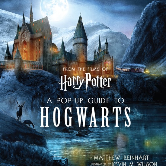 Harry Potter Insight Editions Books on Amazon