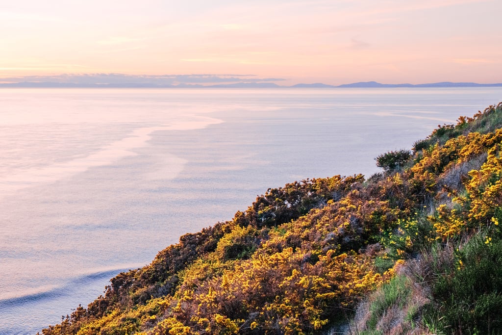 Coastal Zoom Background