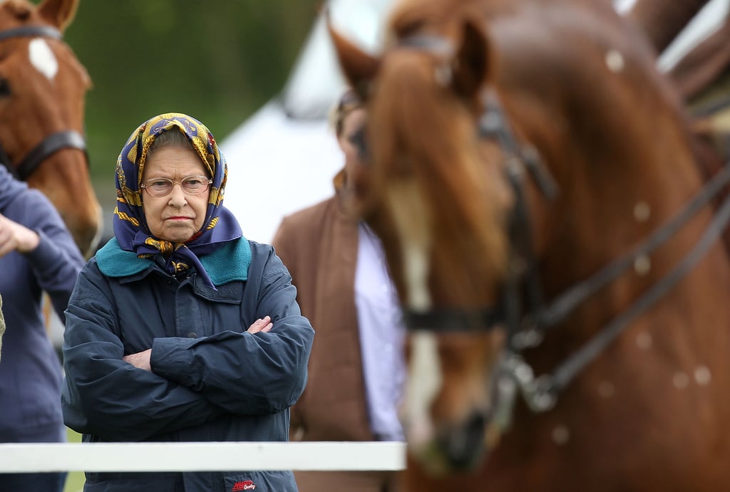 When Your Horse Isn't Winning and Dammit, You're the Queen