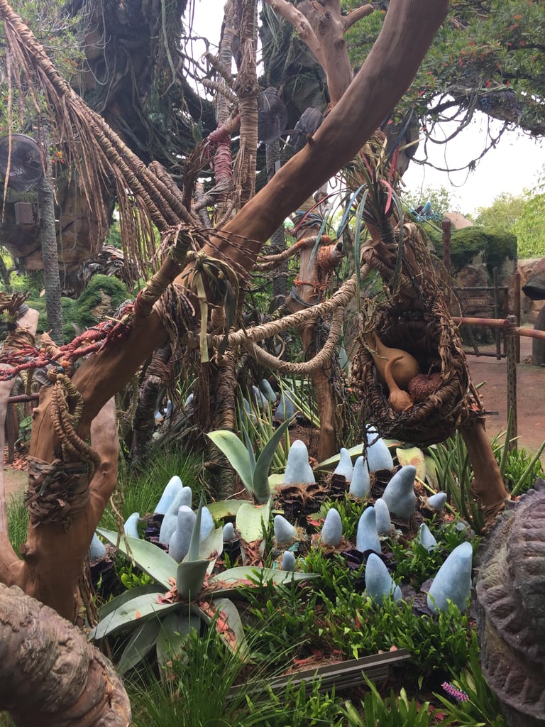 Can You Get FastPasses For Pandora World of Avatar?
