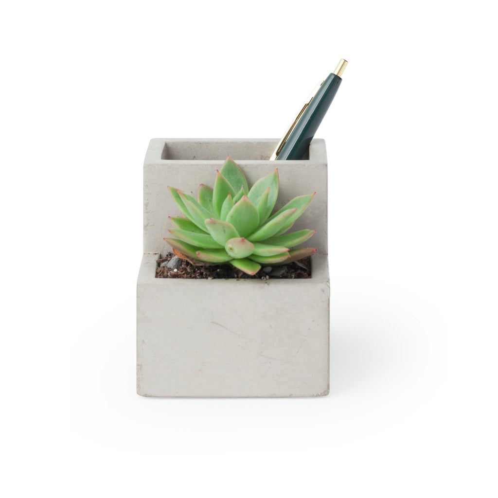 Kikkerland Small Desk Organiser Pen Holder and Faux Planter in Concrete