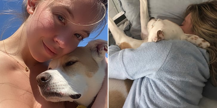 Sydney Sweeney Social Distancing With Her Dog | Photos | POPSUGAR Celebrity