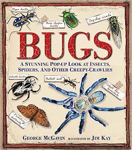 Best Bug-Themed Pop-Up Book