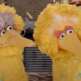 "Will It Hurt?": Big Bird Spoke to 2 Doctors on Sesame Street Before Getting the COVID Vaccine