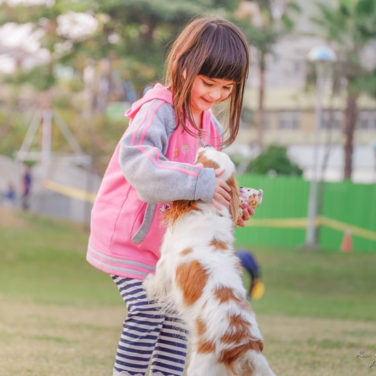 How to Prepare Your Kids For a Dog