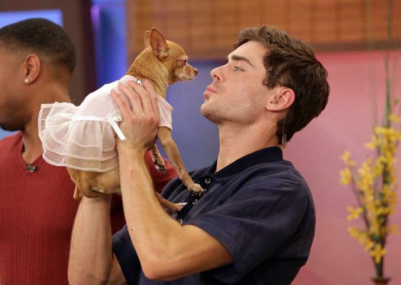 You were finding more reasons to love Zac than ever before. Like, he was kissing puppies!