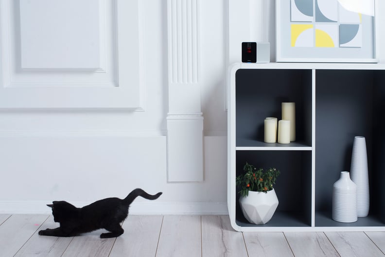 Petcube Camera and Video Recorder