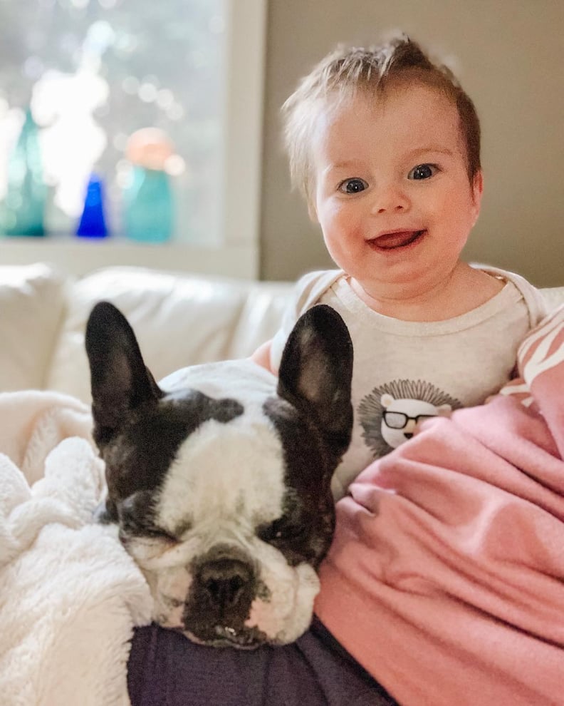 Pictures of French Bulldogs and Babies | POPSUGAR Family