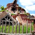 Here Are the 11 BEST Rides at Disneyland, According to Parkgoers