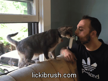 Licki Brush Kickstarter Popsugar Pets