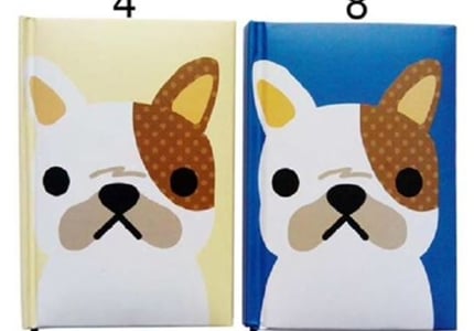 2 Pack of A6 Hardcover Notebooks ($20)