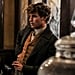 Fantastic Beasts: The Crimes of Grindelwald Interviews 2018