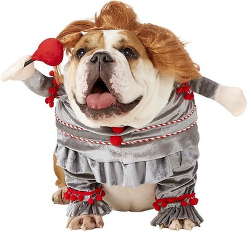 This Pennywise Dog Halloween Costume Is Too Cute to Be Scary POPSUGAR Pets