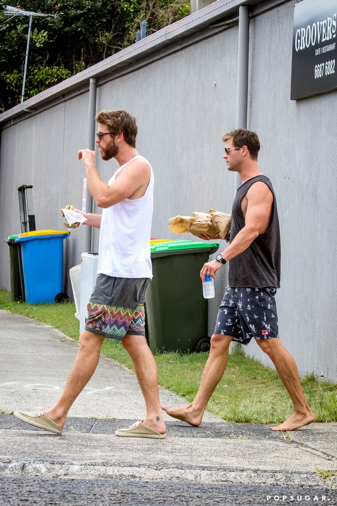 Chris and Liam Hemsworth in Australia December 2015