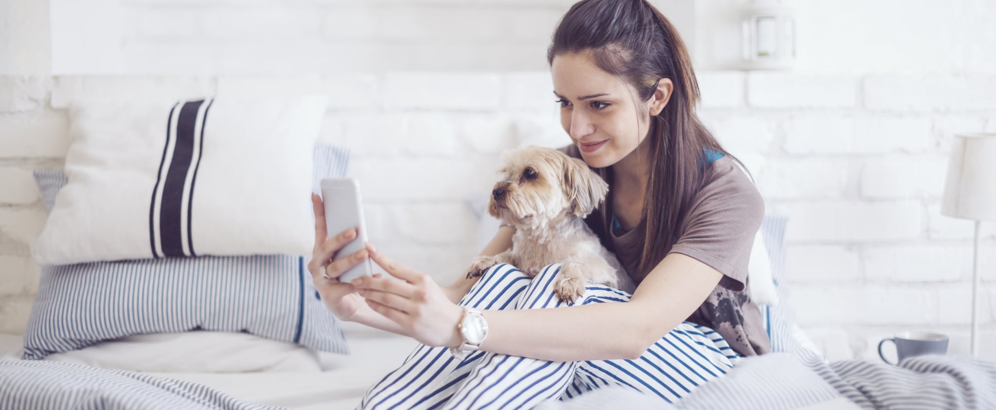 Do Dogs Understand Phone and Video Calls?