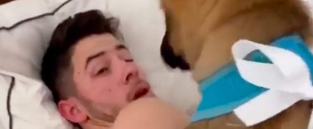 Priyanka Chopra Gave Nick Jonas a Dog For Their Anniversary