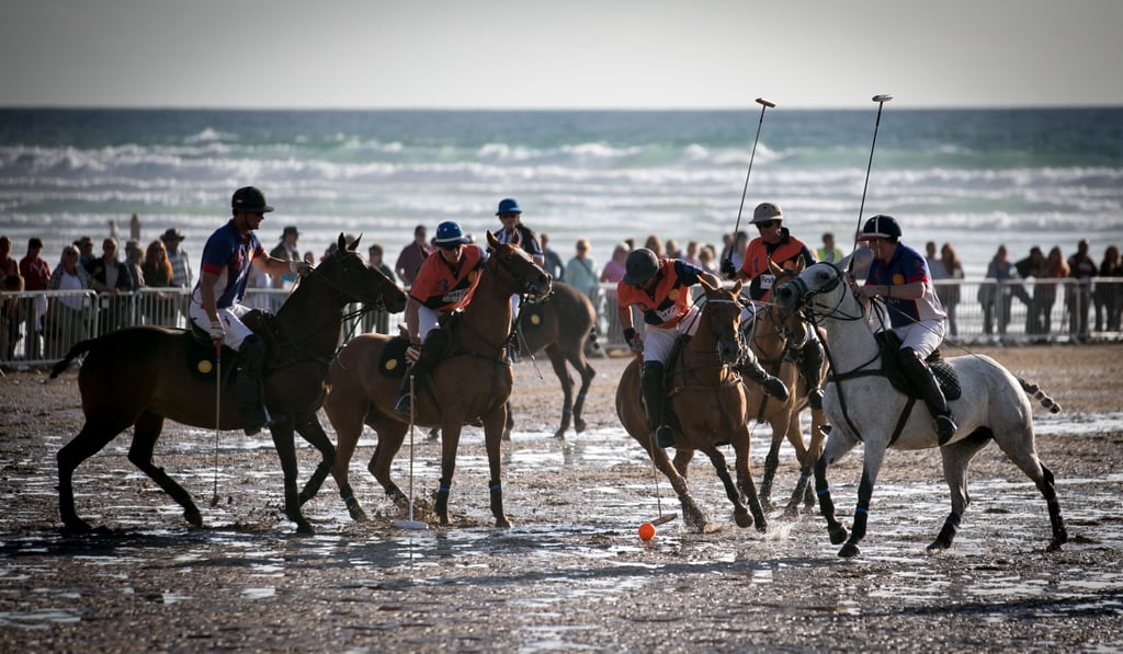 Waterfront Polo