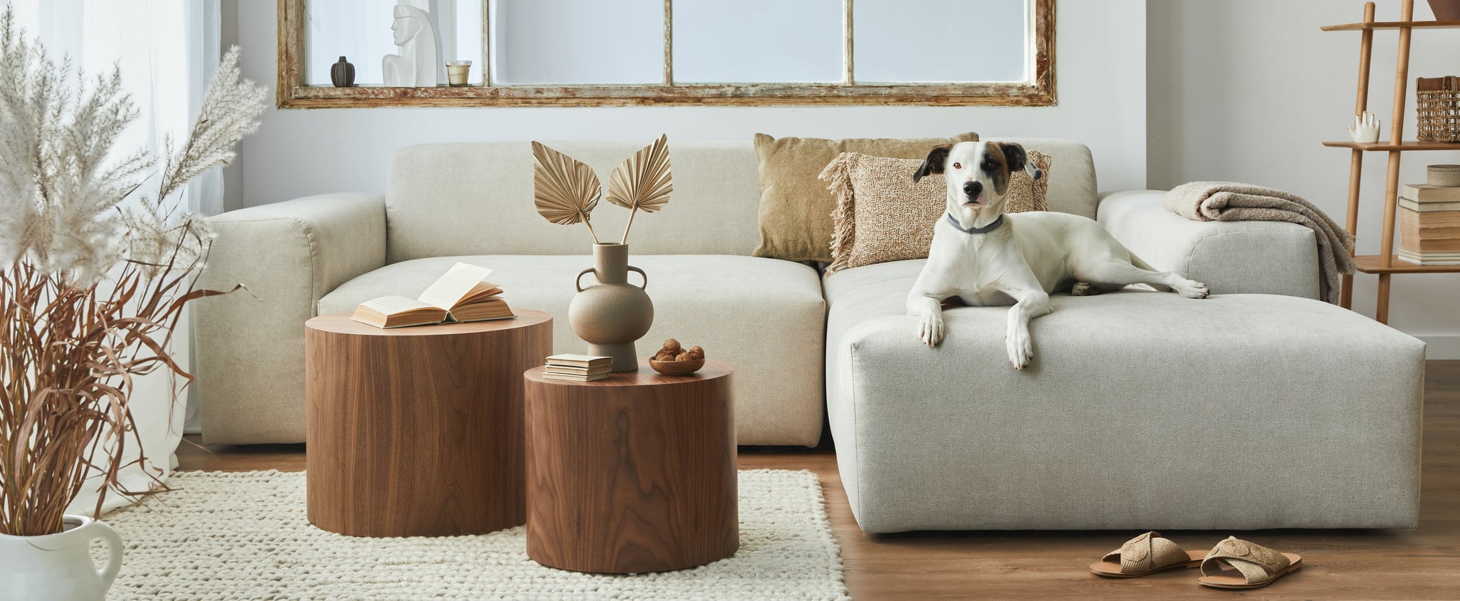8 Best Sofas For Pet Owners: Comfort, Durability, and Style