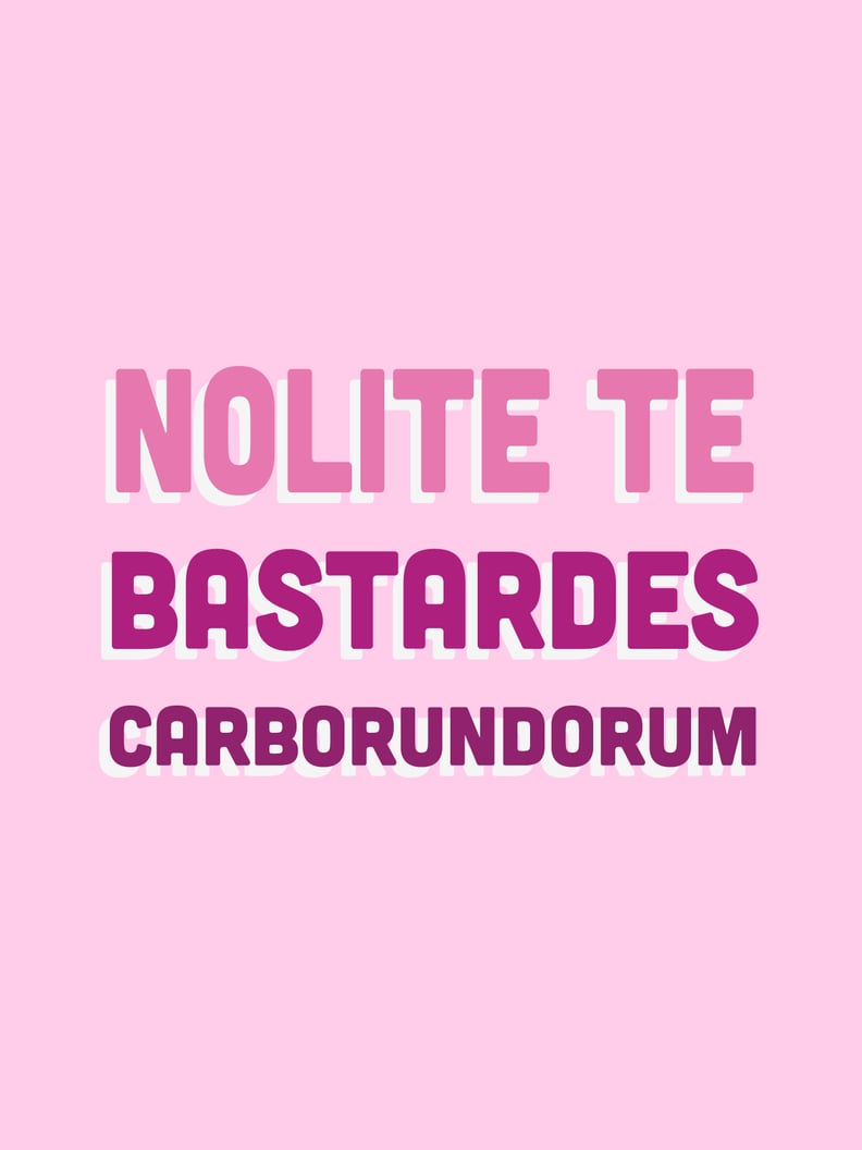 Nolite Te Bastardes Carborundorum (Don't Let the Bastards Grind You Down)