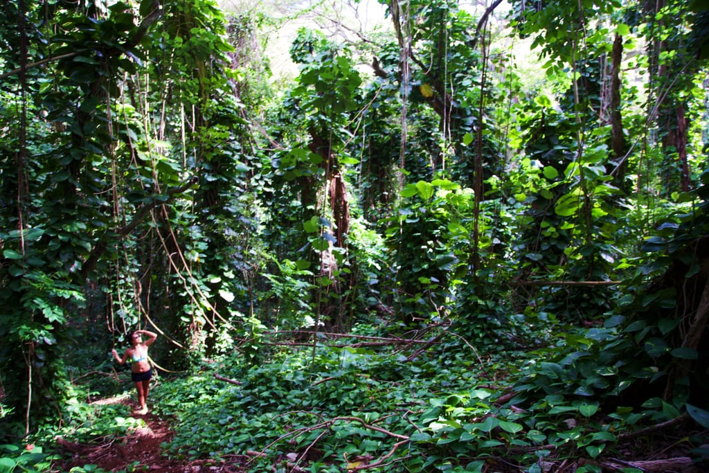 Hike Ho'opi'i Falls