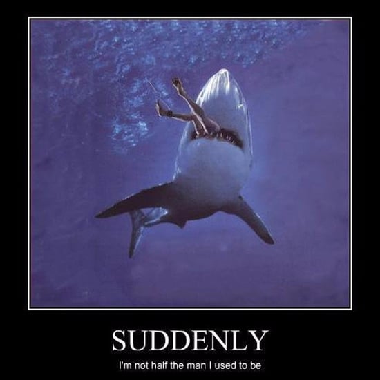 Best Shark Memes