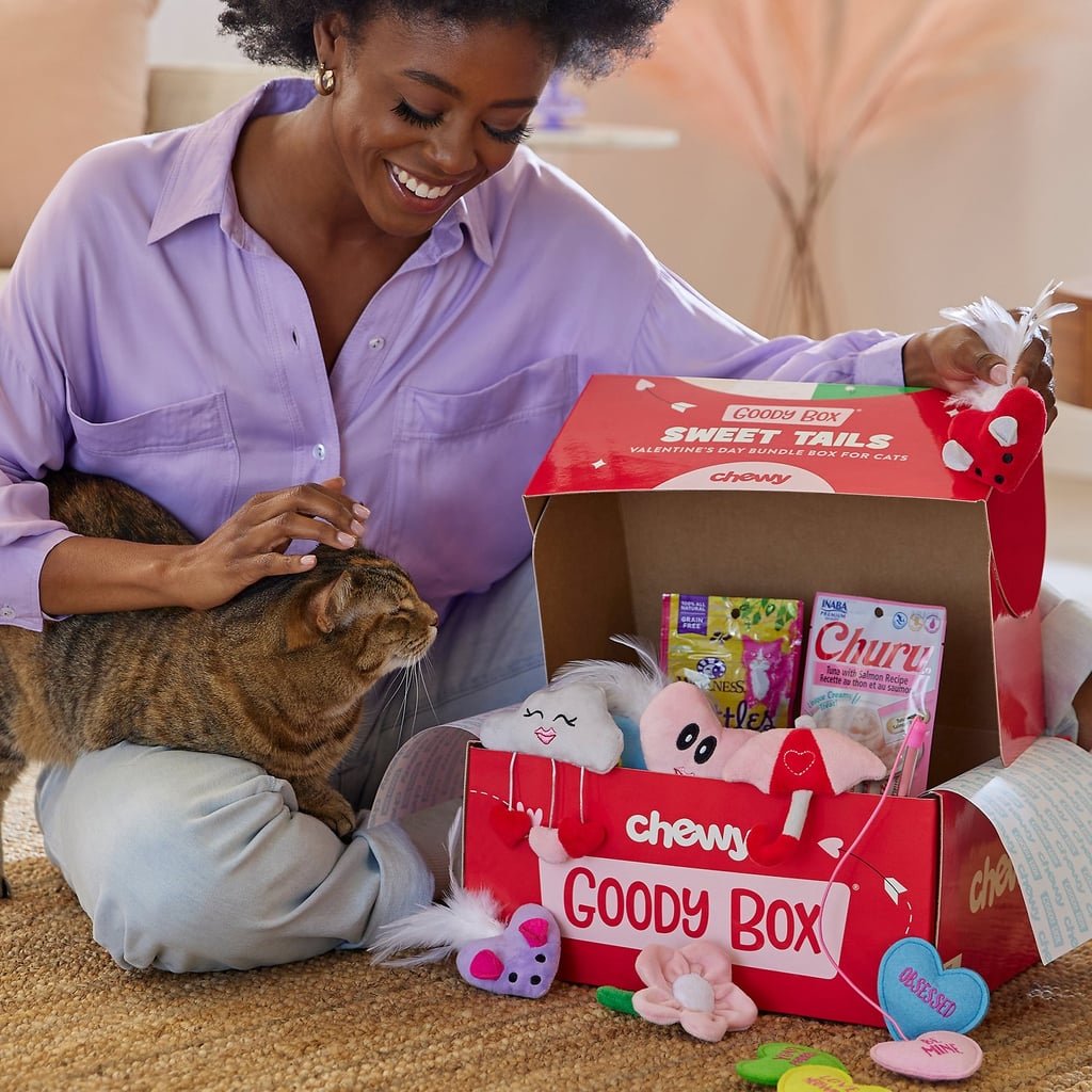 Best Valentine's Day Products For Cats and Dogs at Chewy