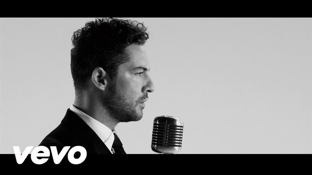 "Me Enamoré De Ti" by David Bisbal