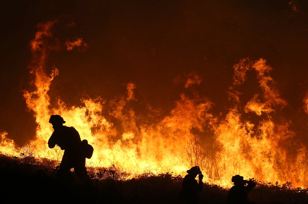 Sacramento Wildfire September 2014 | Pictures