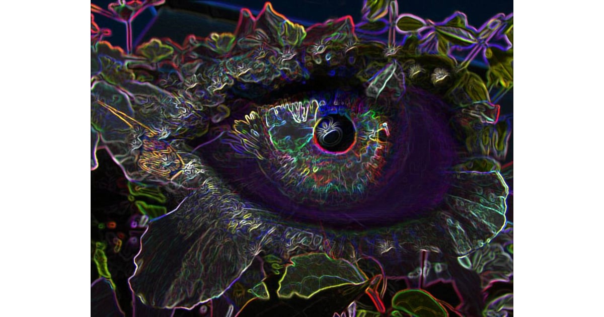 THE EYE OF VENUS Photo 9