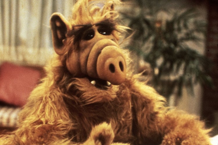 ALF