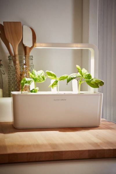 Click & Grow herb starter set