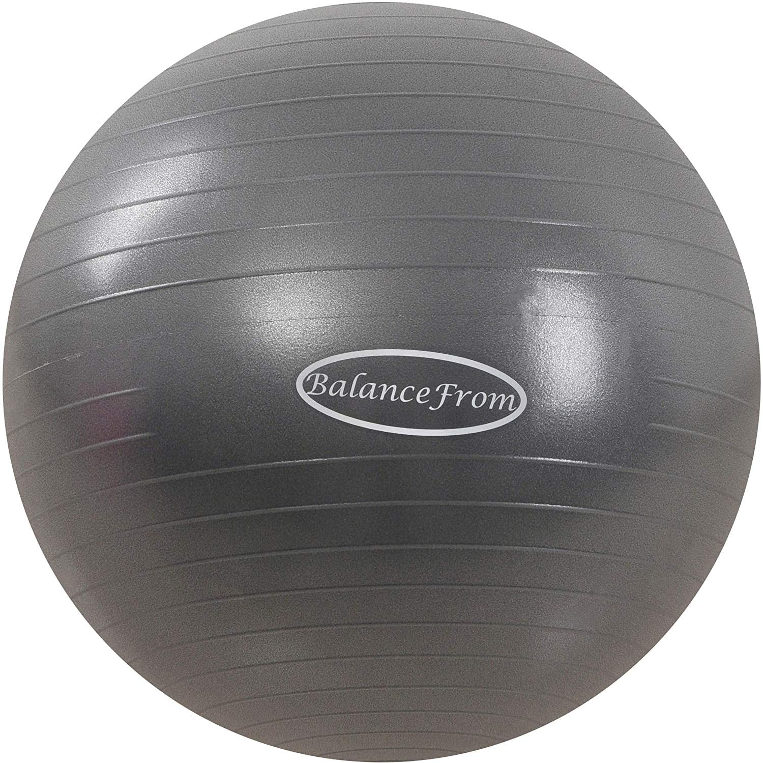 how much does a stability ball cost