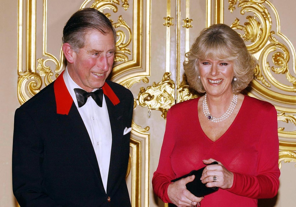 Prince Charles and Camilla Parker-Bowles Engagement Announcement ...