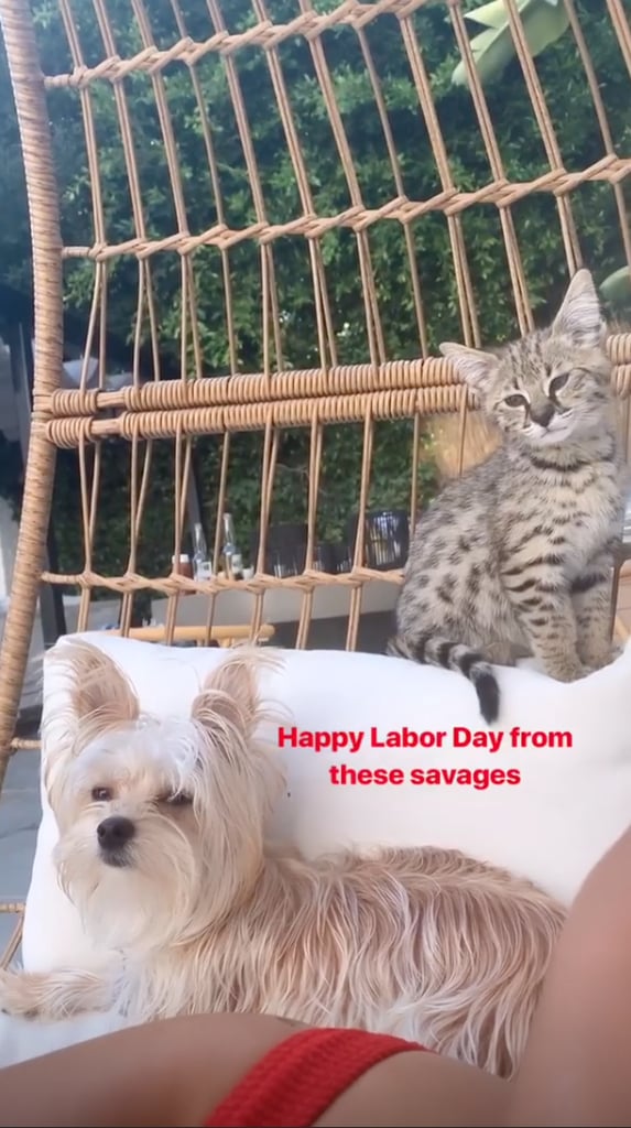 Hailey Baldwin's Red Bikini on Labor Day 2019