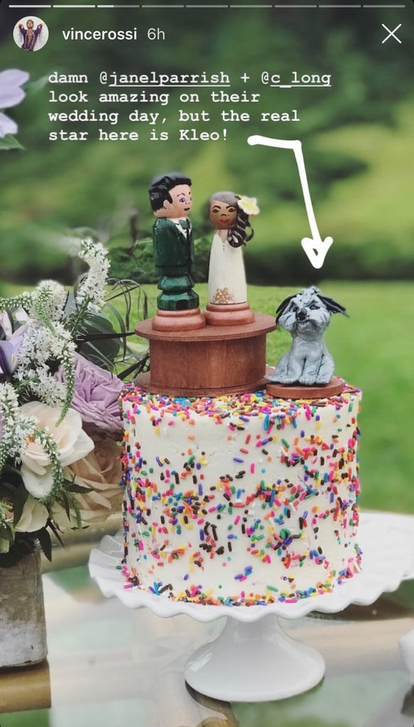 Janel Parrish and Chris Long Wedding Pictures