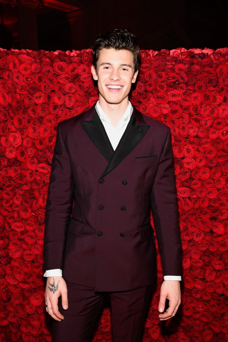 Shawn Mendes Celebrities at the Met Gala For the First Time 2018