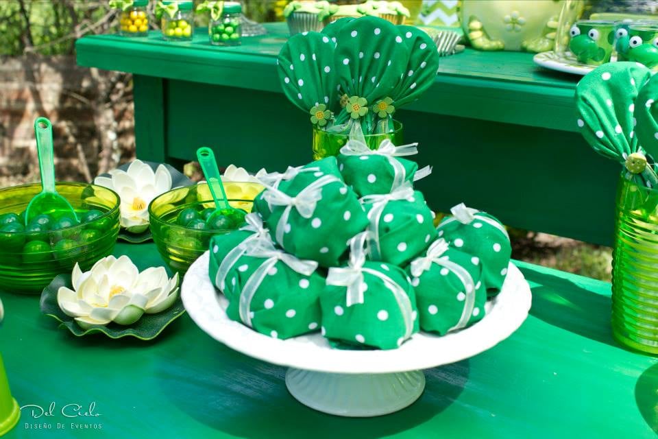 Frog Leap Day Birthday Party