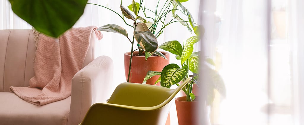 Easy Home Reset Ideas From Experts