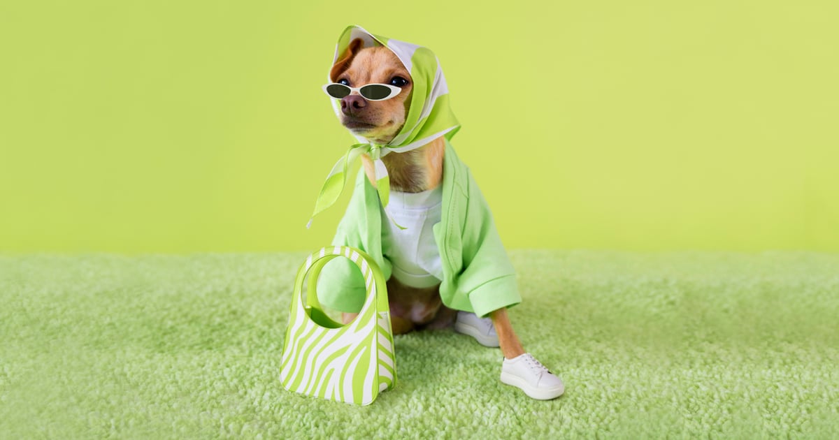 Fashion’s Most Lovable Dog, Boobie Billie, Now Has a “Gorgina” Collection of Mini Bags