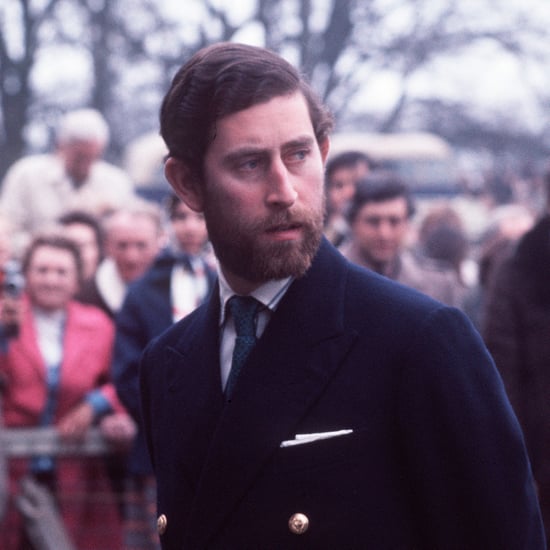 Prince Harry and Prince Charles Lookalike Beard Photos