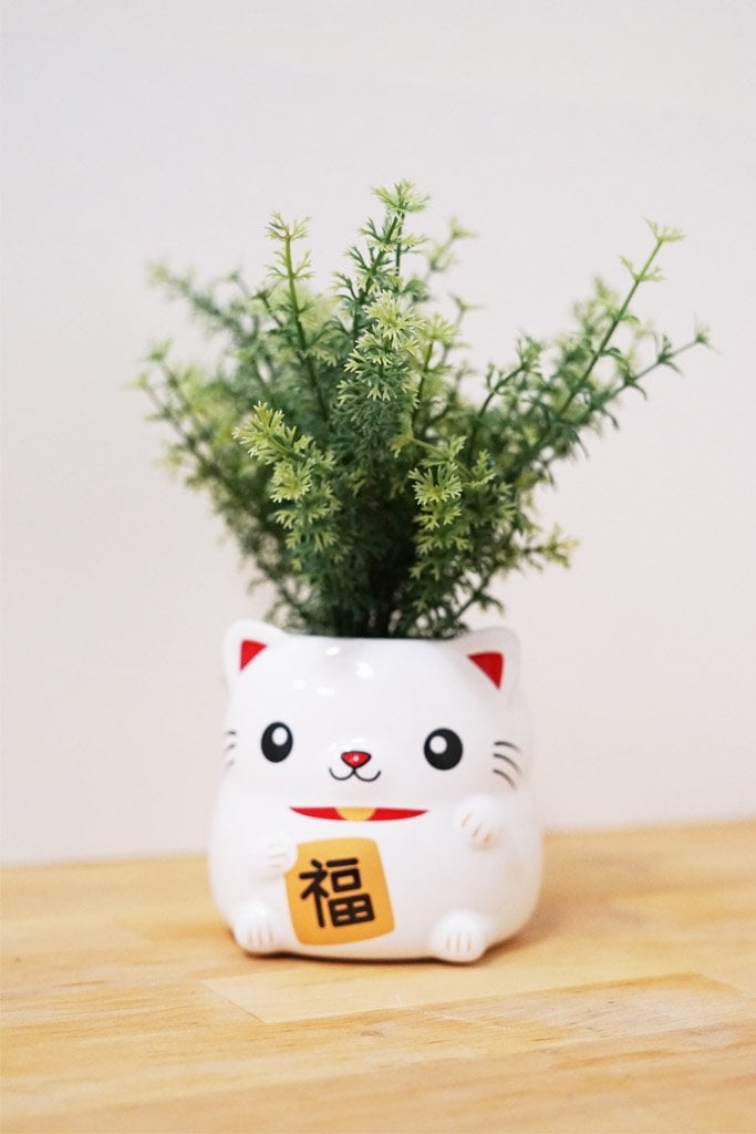 Smoko Cat Planter