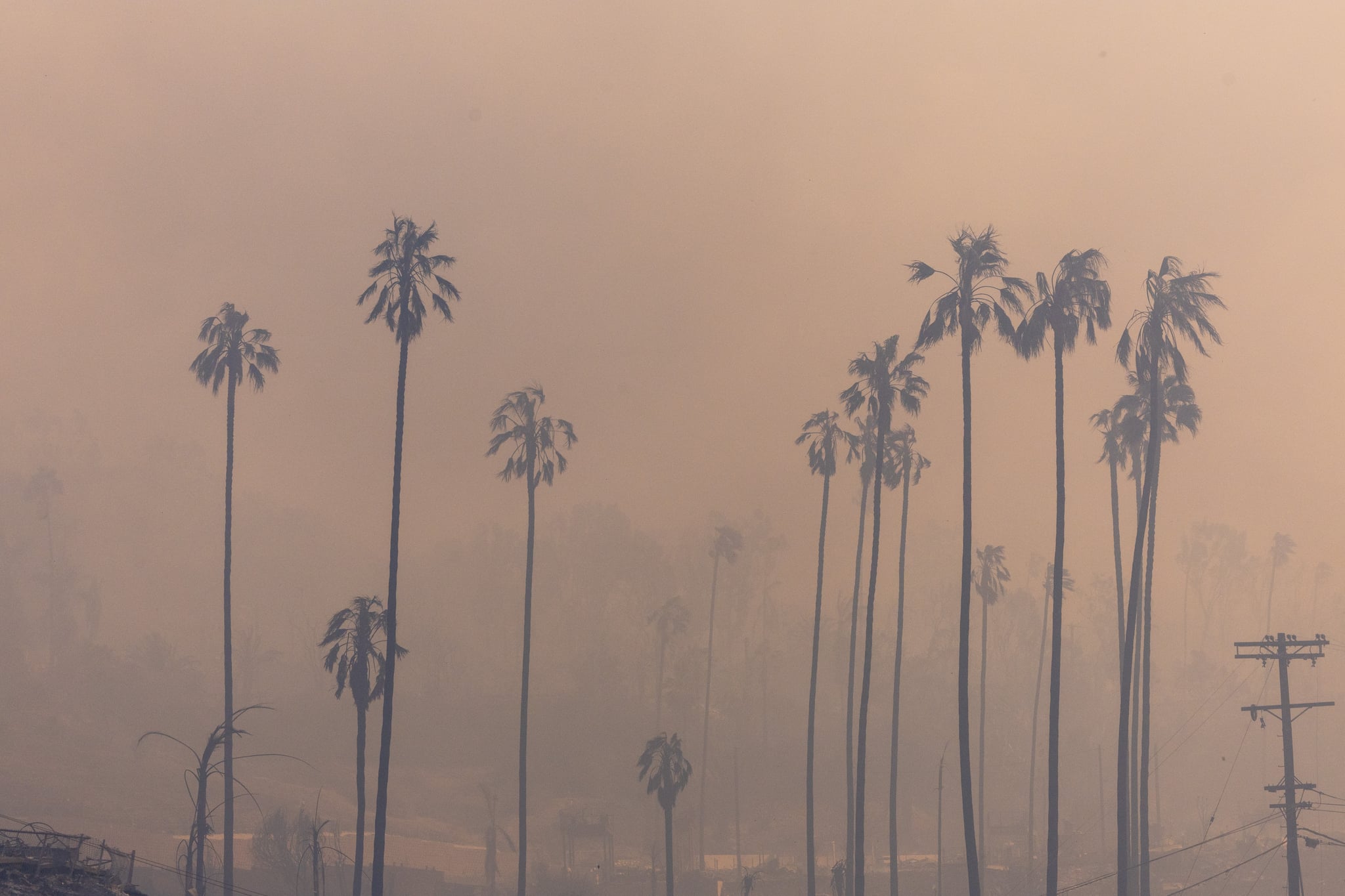 Malibu, CA - January 08: Smoke obscures the devastation of homes by the Palisades fire on PCH on Wednesday, Jan. 8, 2025 in Malibu, CA. (Brian van der Brug / Los Angeles Times via Getty Images)