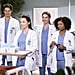 Grey's Anatomy Season 19: New and Returning Cast