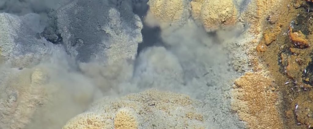 Toxic Lake Discovered in Gulf of Mexico