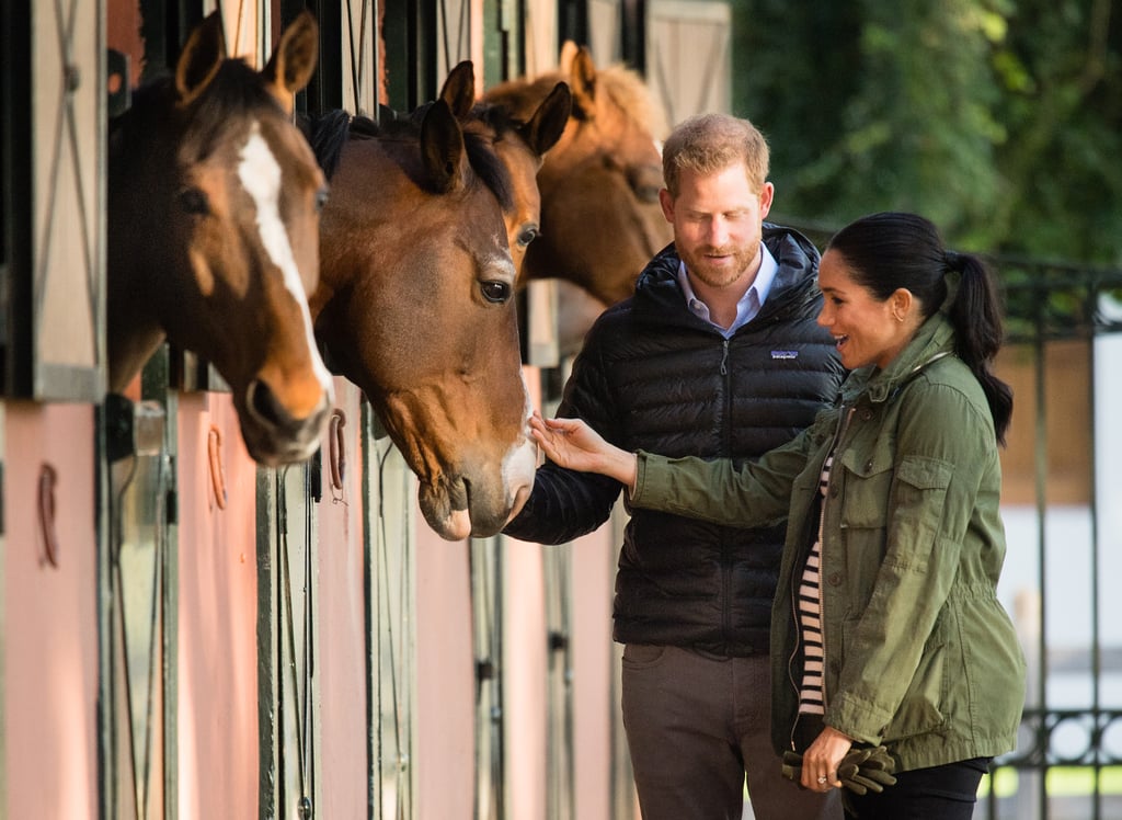 Meghan and Harry With Horses on Morocco Tour February 2019