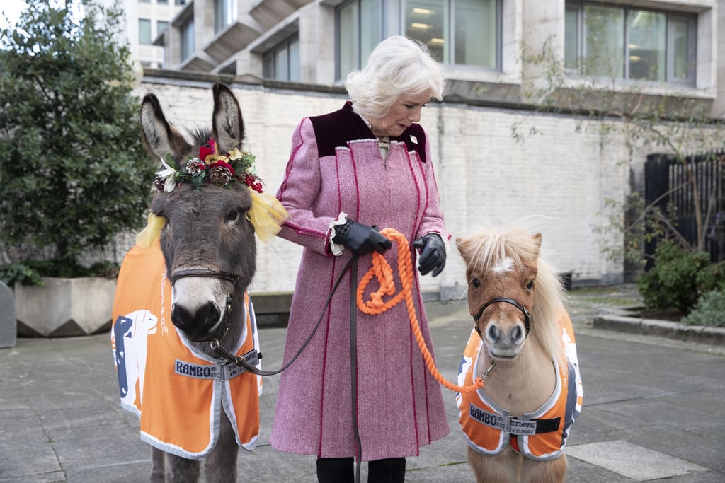 Camilla Parker Bowles at Brooke Action Charity Event December 2018