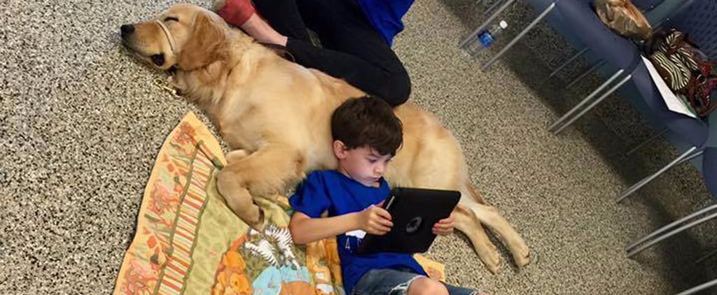 Boy With Autism Meets His New Service Dog