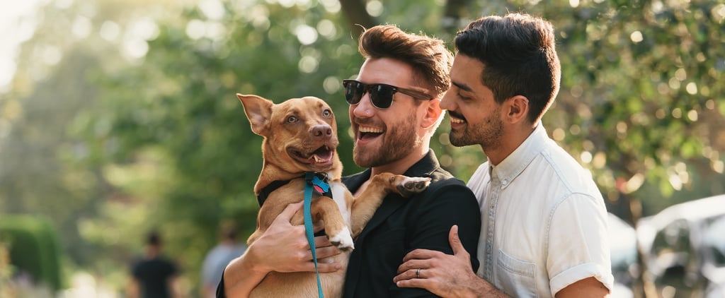 How Getting a Pet Affects Your Relationship