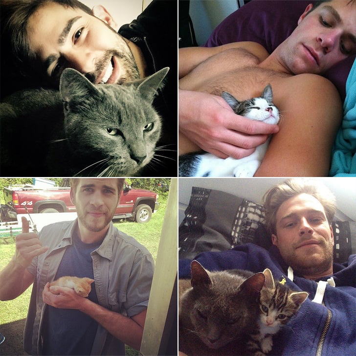 Hot Guys Holding Cats