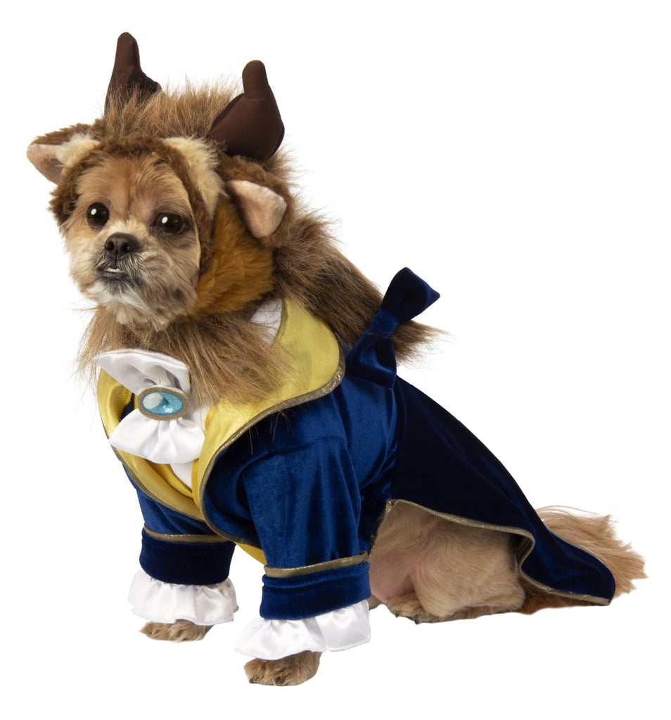 Beauty and the Beast Dog Costume